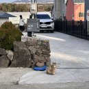 새별별하 이미지