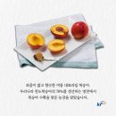 영천우리농장 이미지