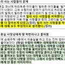 수림태양광 네이버블로그
