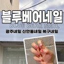 블루베어네일 네이버블로그