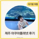 마이바당 | 제주 아기랑 가볼만한 곳 실내 아쿠아플레넷 공연시간 할인방법