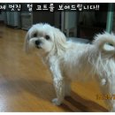 두둥