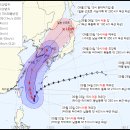 태풍이네