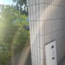 어흥어음 | 제주 애월 숙소 추천 :: 자쿠지가 있는 독채 펜션 어흥어음