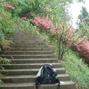 3040 당구장 이미지