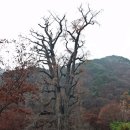 깊은골천 이미지