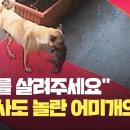 온 동물병원 이미지