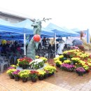 용머리축사 이미지