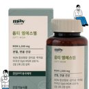 메이올웨이즈 이미지