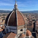 베로에스프레소 | [이탈리아] 로마 근교 피렌체 기차 여행 당일 투어 |반일 코스 공유 (마이리얼트립 11월 할인코드)