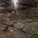 제주4.3창작뮤지컬 동백꽃 피는날에 | 제주4.3사건실화 다크투어리즘 역사적배경 유가족 잊지말아야할 기록 후기