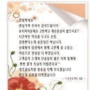 태안묘지이장.벌초