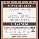 라디오스마트 고주파 뷰티컴퍼니 대여후기 내돈내산