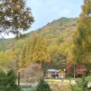 온빛매점 | 논산 온빛자연휴양림 국내 단풍여행 추천