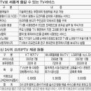 (주)데이콤멀티미디어인터넷 이미지