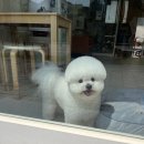 시블링즈 이미지