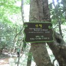 서귀포자연휴양림1 이미지