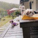 굿셀하우스 이미지