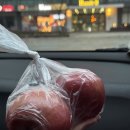 해피 PC 부산구평점 | W.12 웨딩촬영 타임라인 feat. 보메가든 스튜디오, 온도 메이크업샵, 라을아뜰리에 플라워디렉팅 그리고...