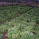 형준농장 이미지