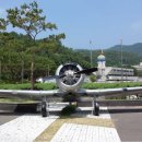 T-6 이미지