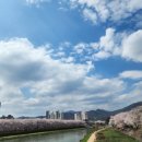 상주추어탕 - 남구 대명복개로1길 29-1 | 상주추어탕