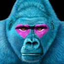 국제호텔 이미지