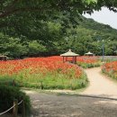 정원친구 이미지