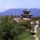 수원-1972 이미지