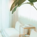 동경신촌 이미지