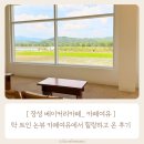 장성-19 | [장성 베이커리카페_ 카페여유] 탁 트인 논뷰 카페여유에서 힐링