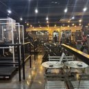 바디피트니스존 | 수원대헬스장 로얄바디피트니스 PT 후기: 찐 운동 성지, 여기가 리얼이에요!
