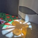 감귤박물관 위 이미지