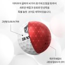 T&J 스크린골프 | (30%할인) 데이비드 고반발 골프공 P1 비거리 T라인 20개 40개 선물 장단점 추천후기