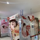 마보로시 이미지