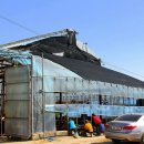 일출목장 이미지