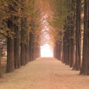 안채영한의원 이미지