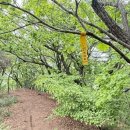 분수3리 이미지