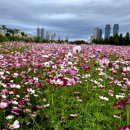 전주명가 이미지