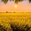 낯선하루 이미지