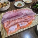 춘천송어 | 춘천 후평동 맛집 애막골횟집 | 내돈내산, 솔직후기, 송어향어
