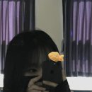 상암제 이미지