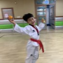 송화태권도 이미지