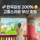 코모도 실내수영장 | 부산가성비호텔 코모도호텔 프리미어 코너 스위트룸 솔직후기