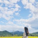 담양 달빛 스테이 이미지