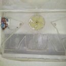 방실농장 이미지