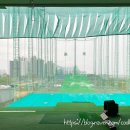 신비로-8 이미지