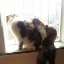 용강농장 이미지