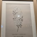 전주 반려동물장례식장 아리움 이미지