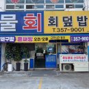 회신물회 이미지